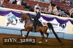 21YN_32883 proof