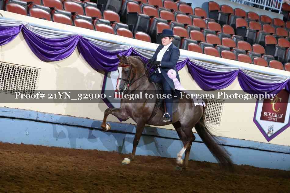 Proof 21YN_32900