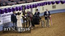 21YN_47516 proof