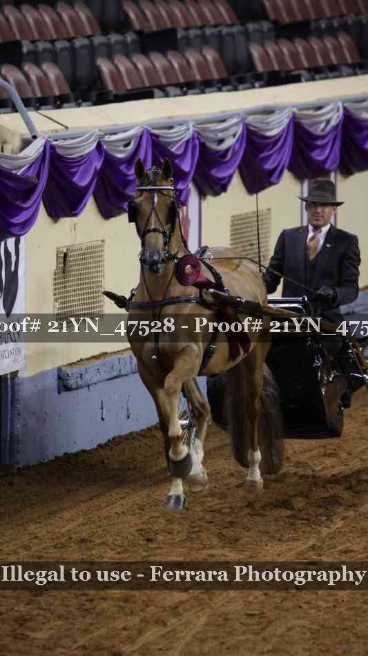 Proof 21YN_47528