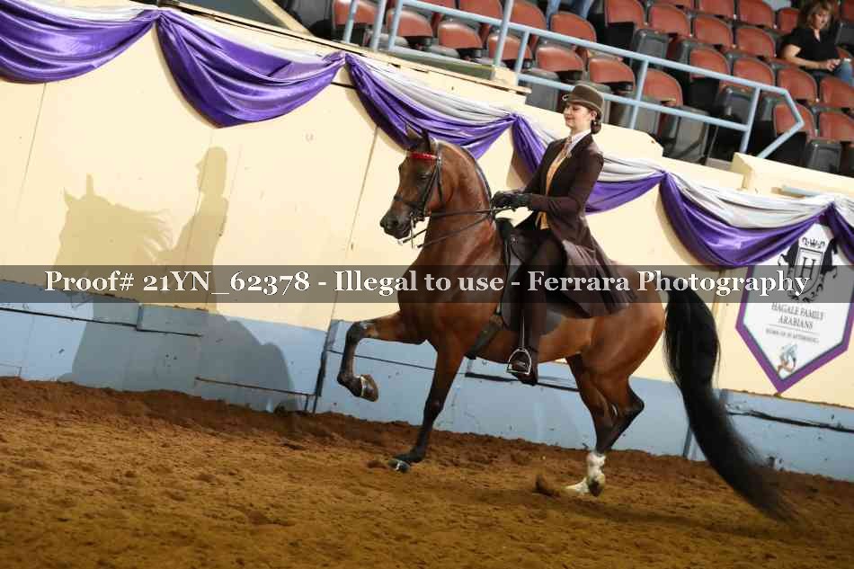 Proof 21YN_62378
