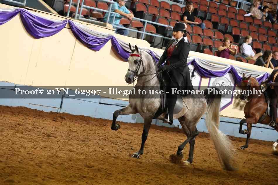 Proof 21YN_62397