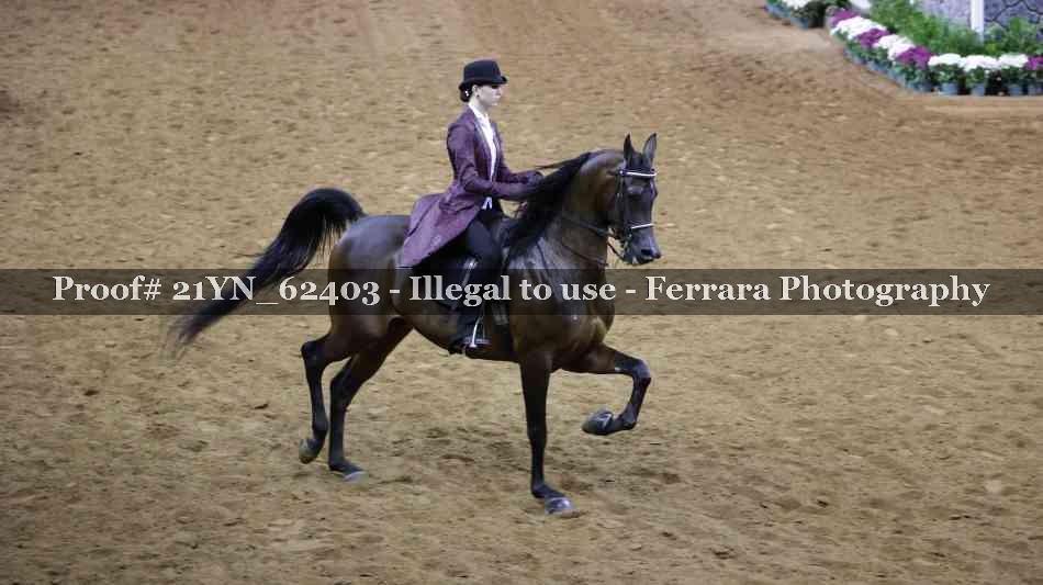 Proof 21YN_62403