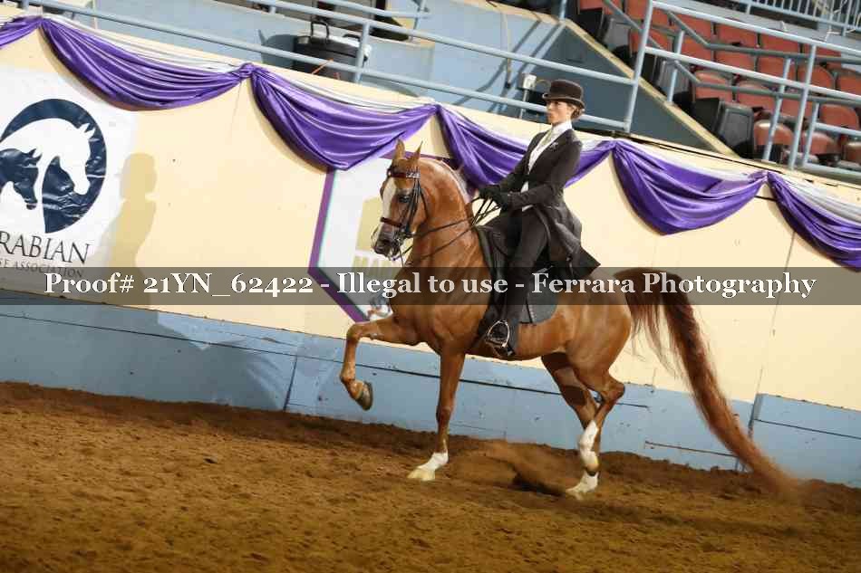Proof 21YN_62422