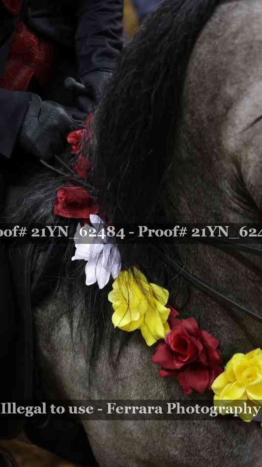 Proof 21YN_62484