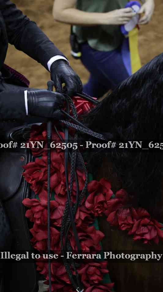 Proof 21YN_62505
