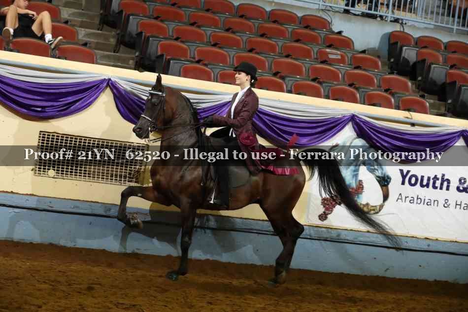 Proof 21YN_62520