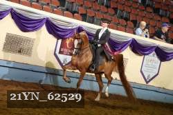 21YN_62529 proof