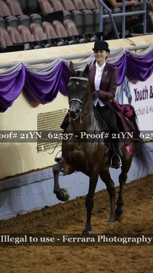 Proof 21YN_62537