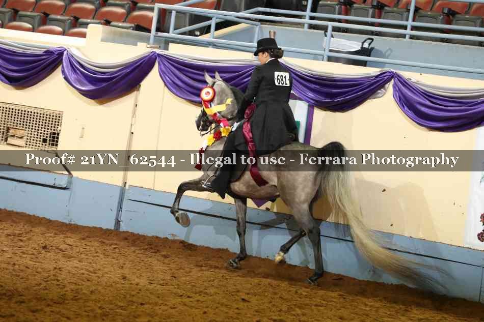 Proof 21YN_62544
