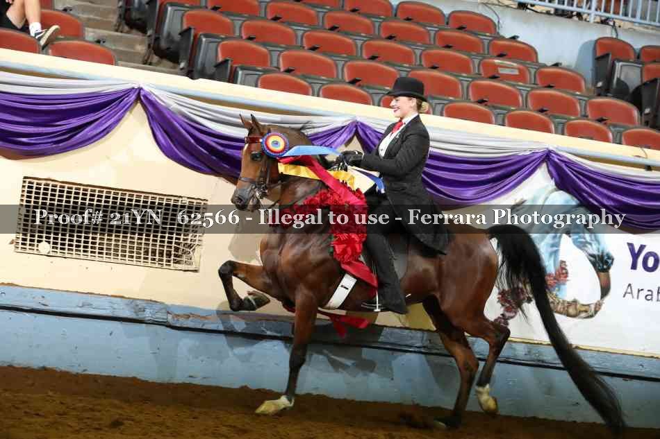 Proof 21YN_62566
