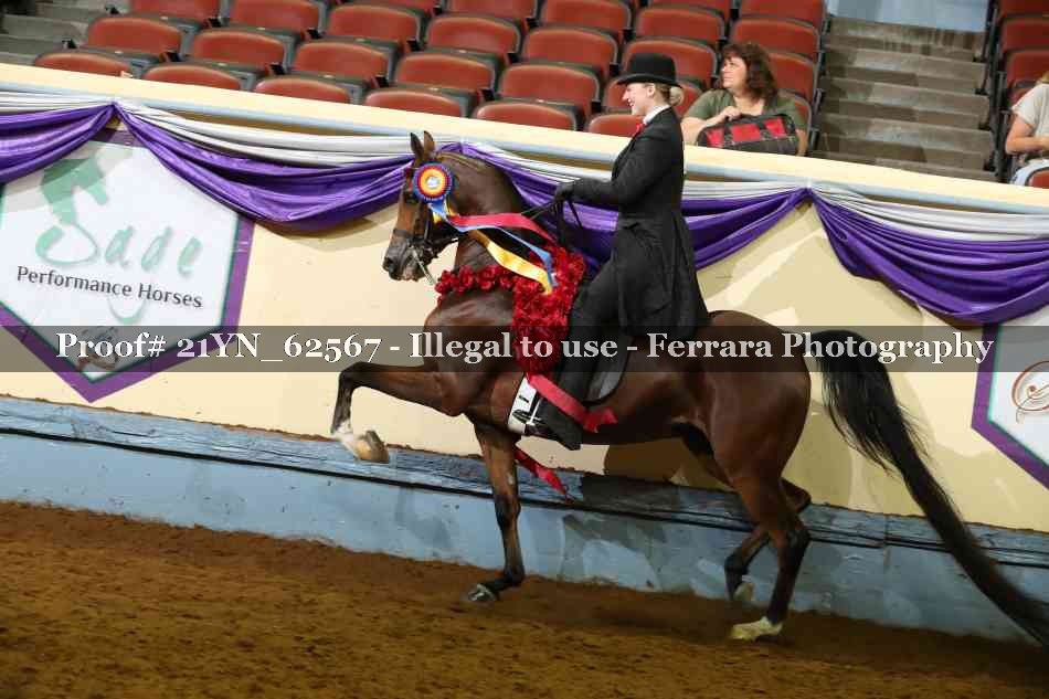 Proof 21YN_62567