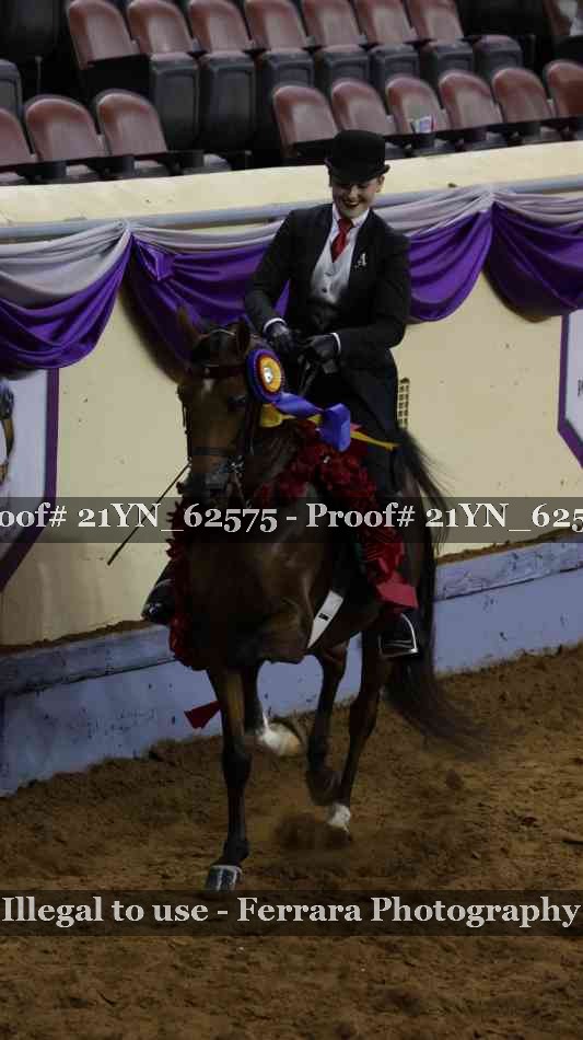 Proof 21YN_62575