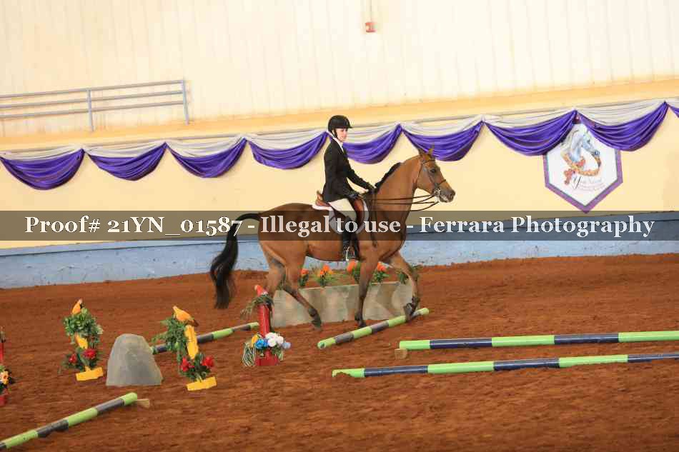 Proof 21YN_01587