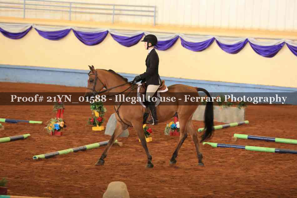 Proof 21YN_01588