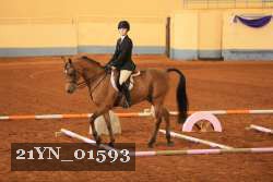 21YN_01593 proof