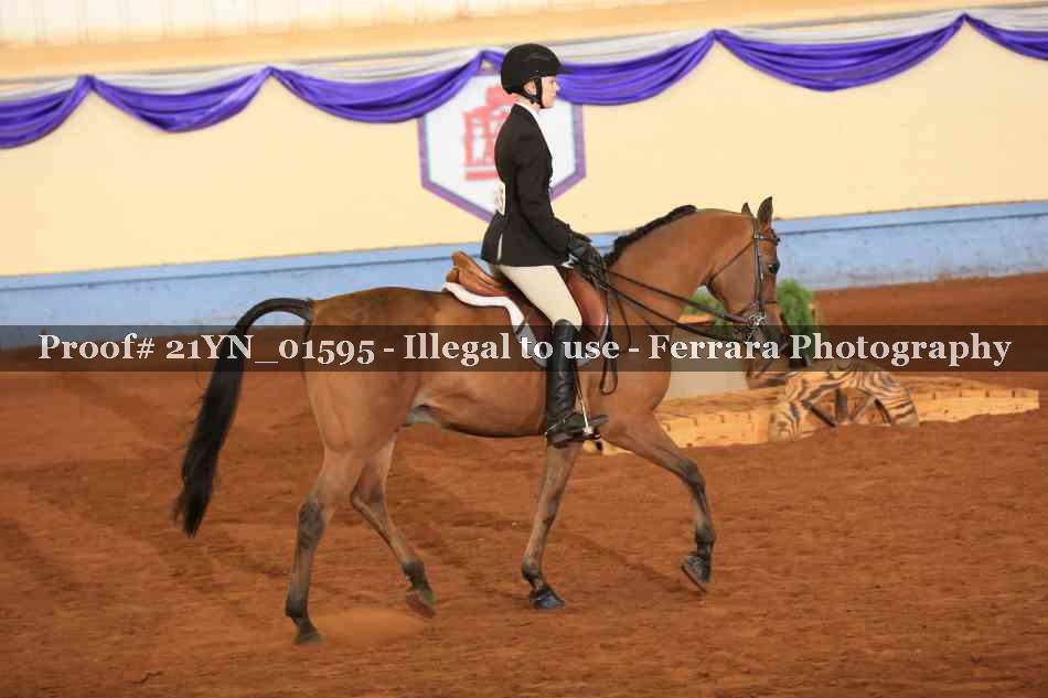 Proof 21YN_01595