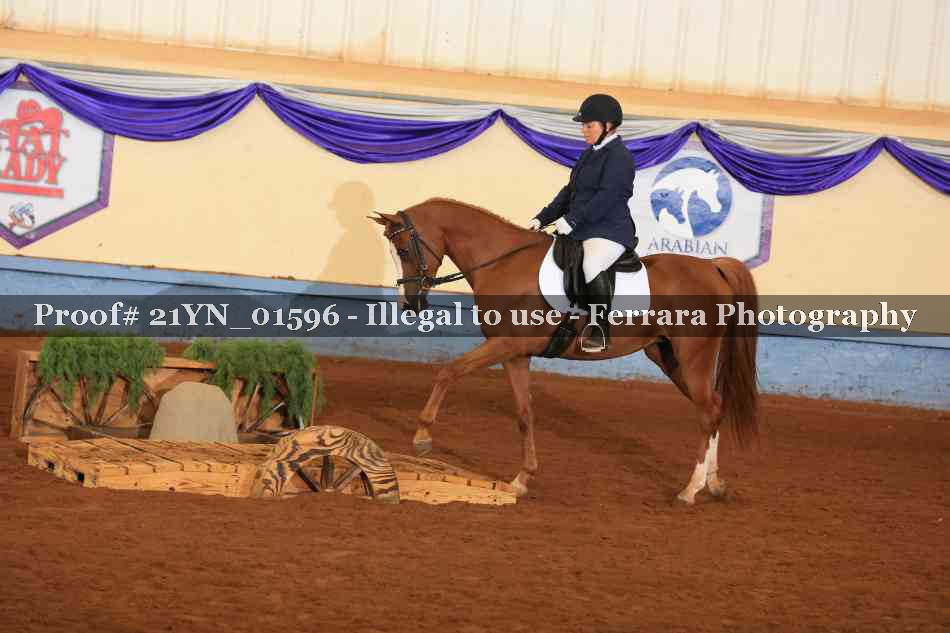 Proof 21YN_01596