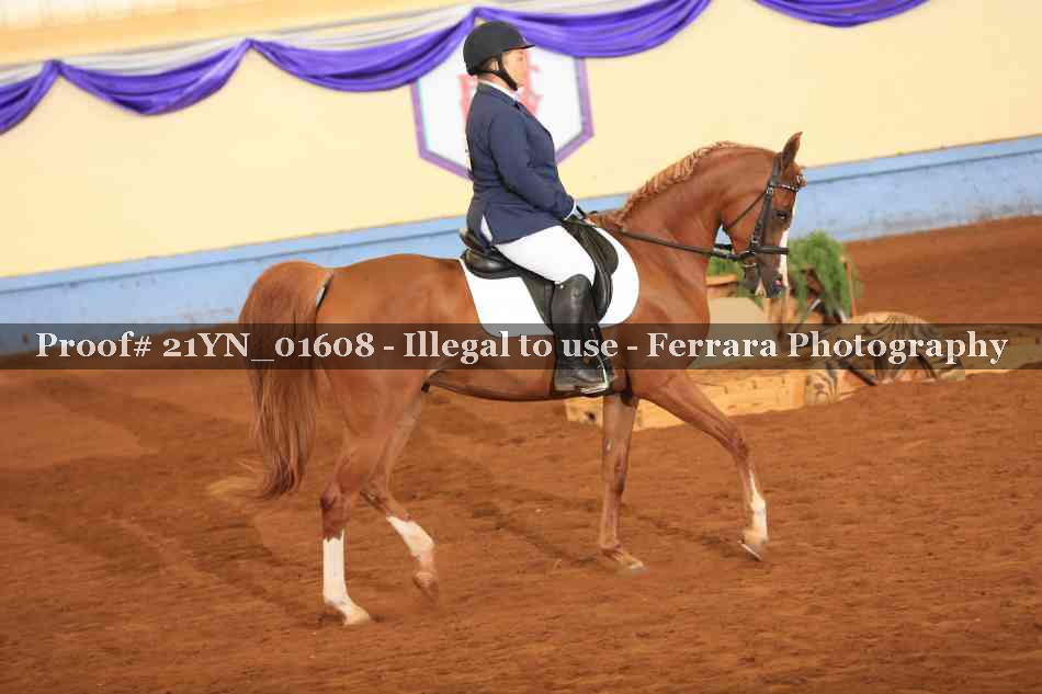 Proof 21YN_01608