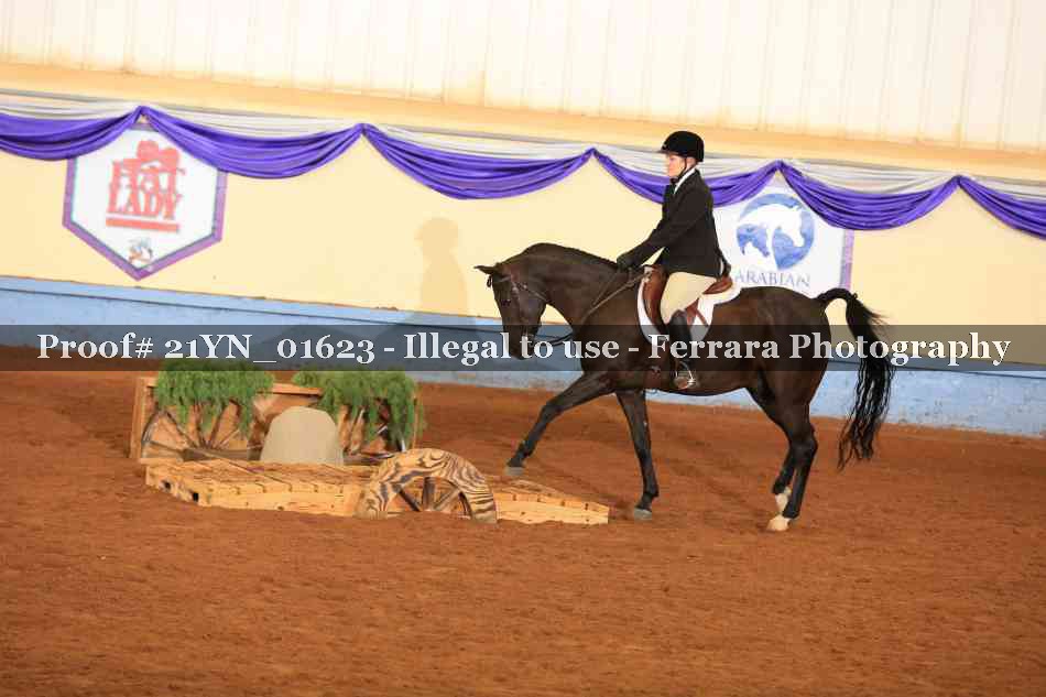 Proof 21YN_01623