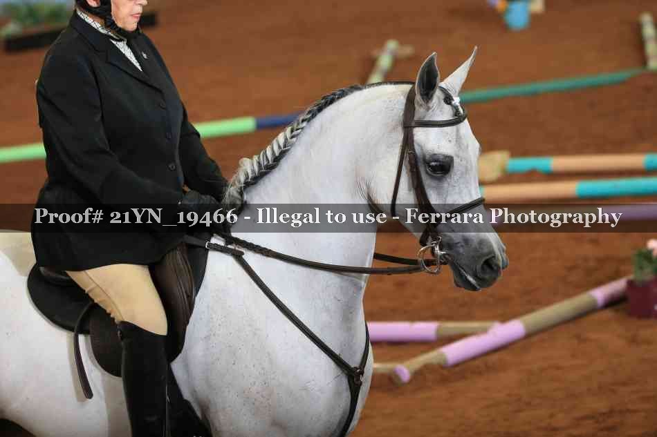 Proof 21YN_19466