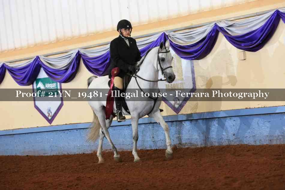 Proof 21YN_19481