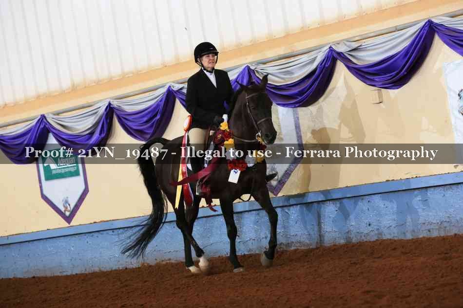 Proof 21YN_19487