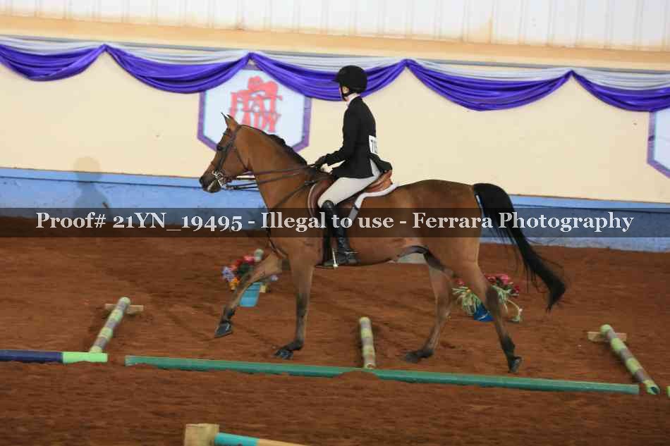 Proof 21YN_19495