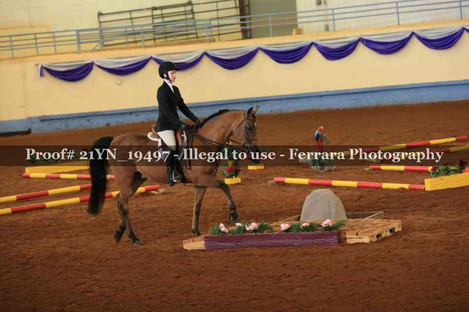 Proof 21YN_19497