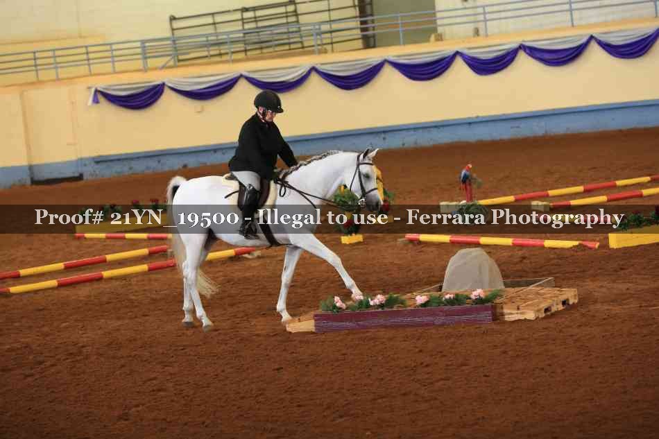 Proof 21YN_19500