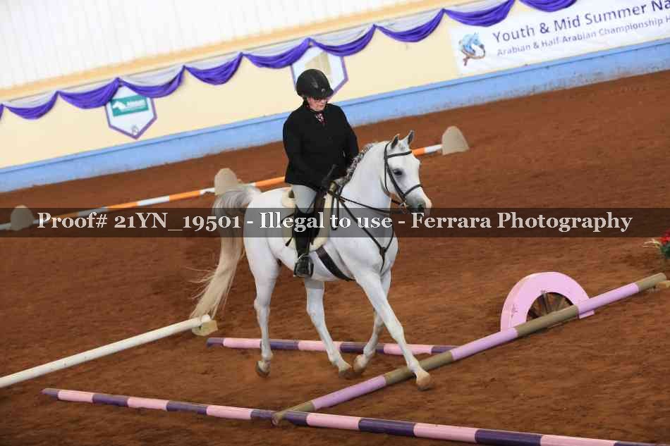 Proof 21YN_19501