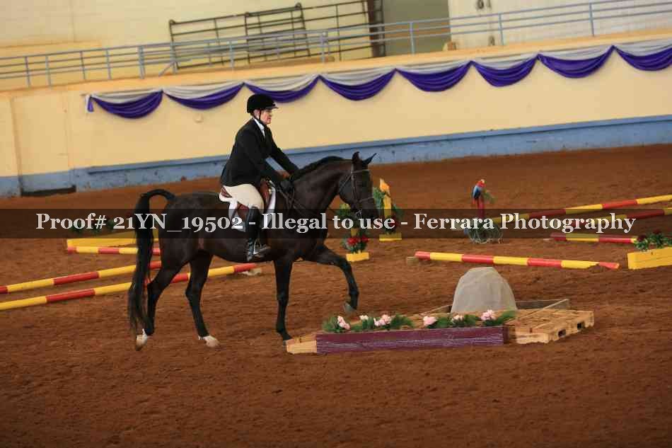 Proof 21YN_19502