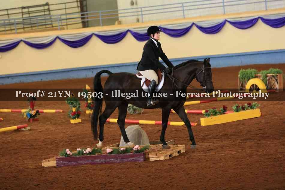 Proof 21YN_19503