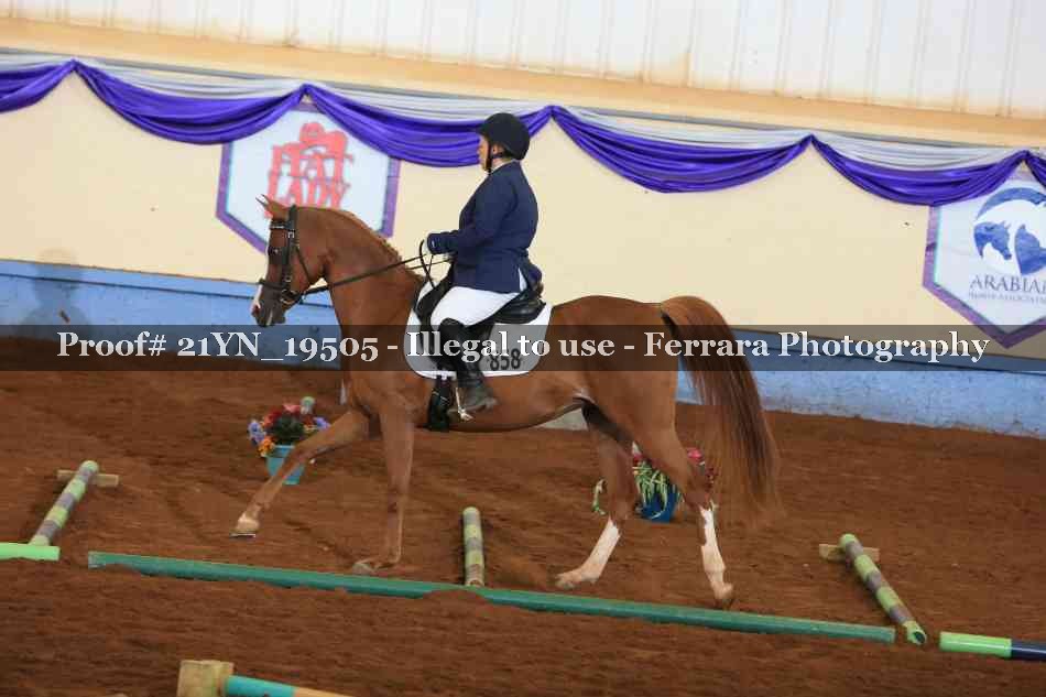 Proof 21YN_19505