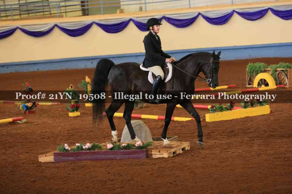 Proof 21YN_19508