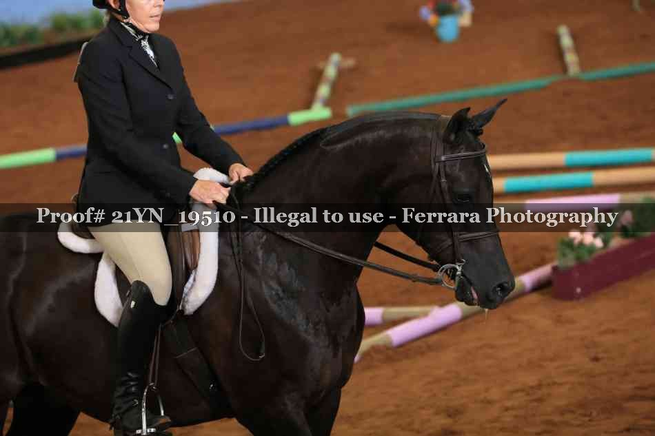 Proof 21YN_19510