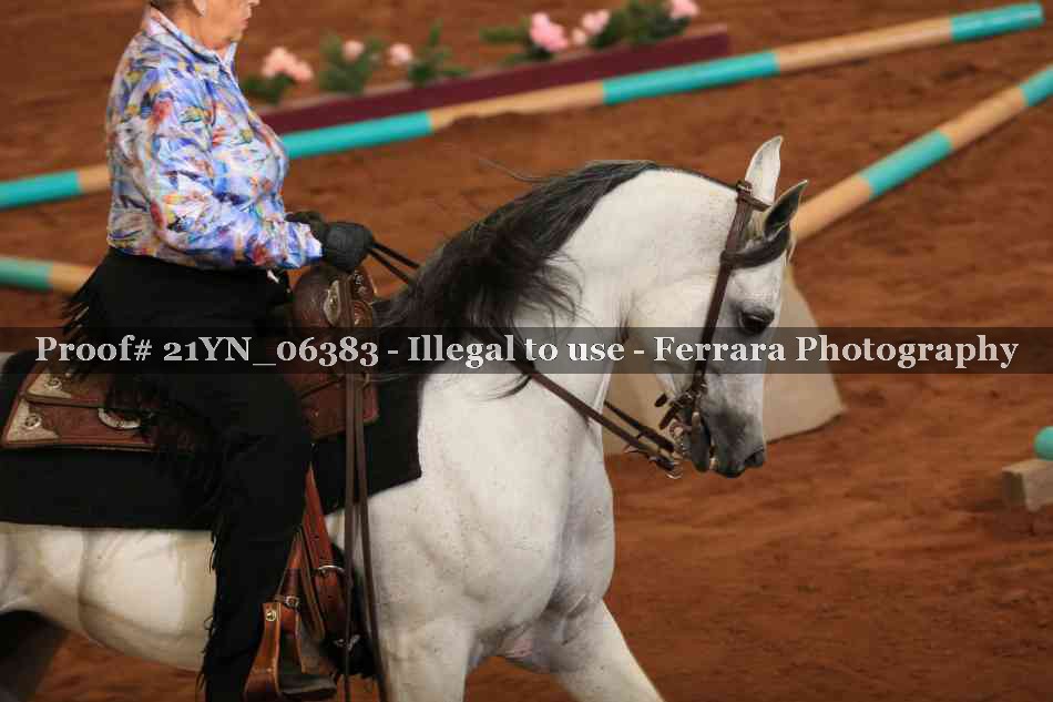 Proof 21YN_06383