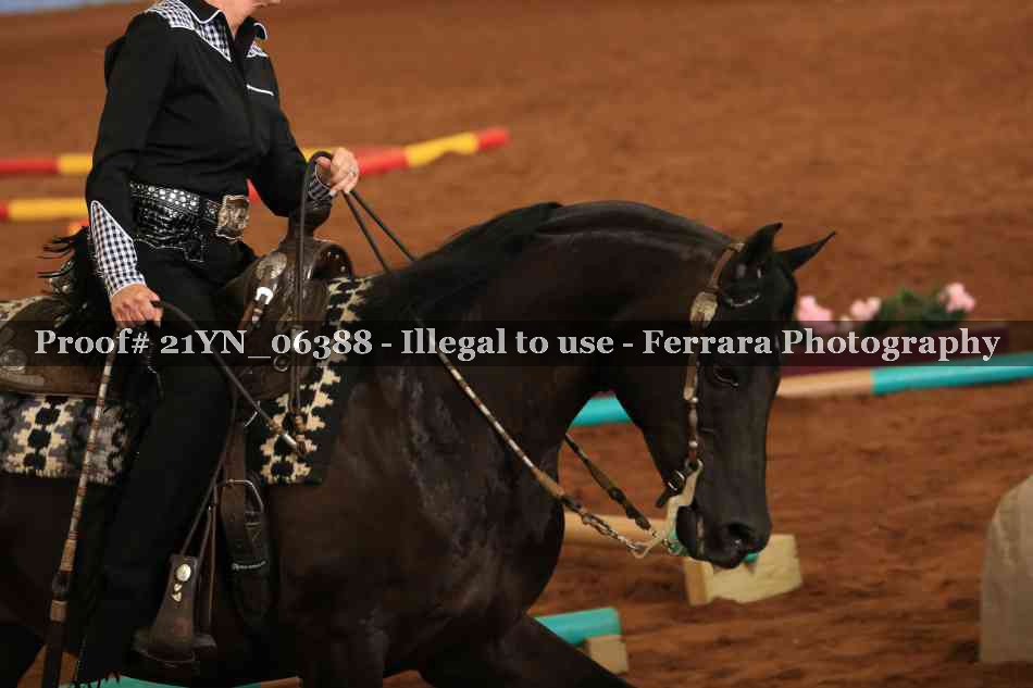 Proof 21YN_06388