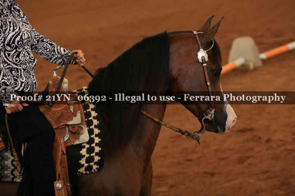 Proof 21YN_06392