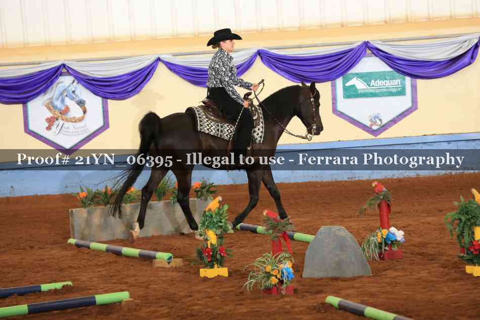 Proof 21YN_06395