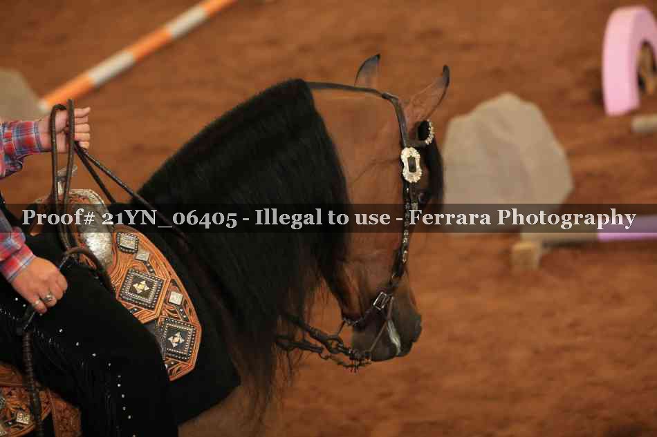 Proof 21YN_06405
