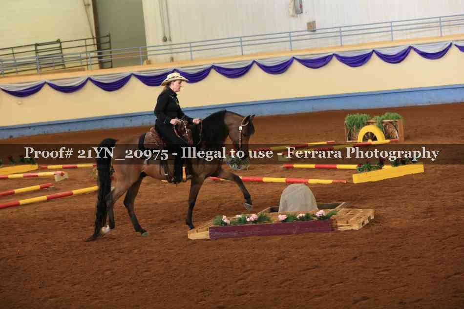 Proof 21YN_20975