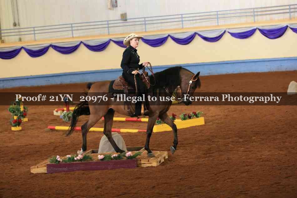 Proof 21YN_20976