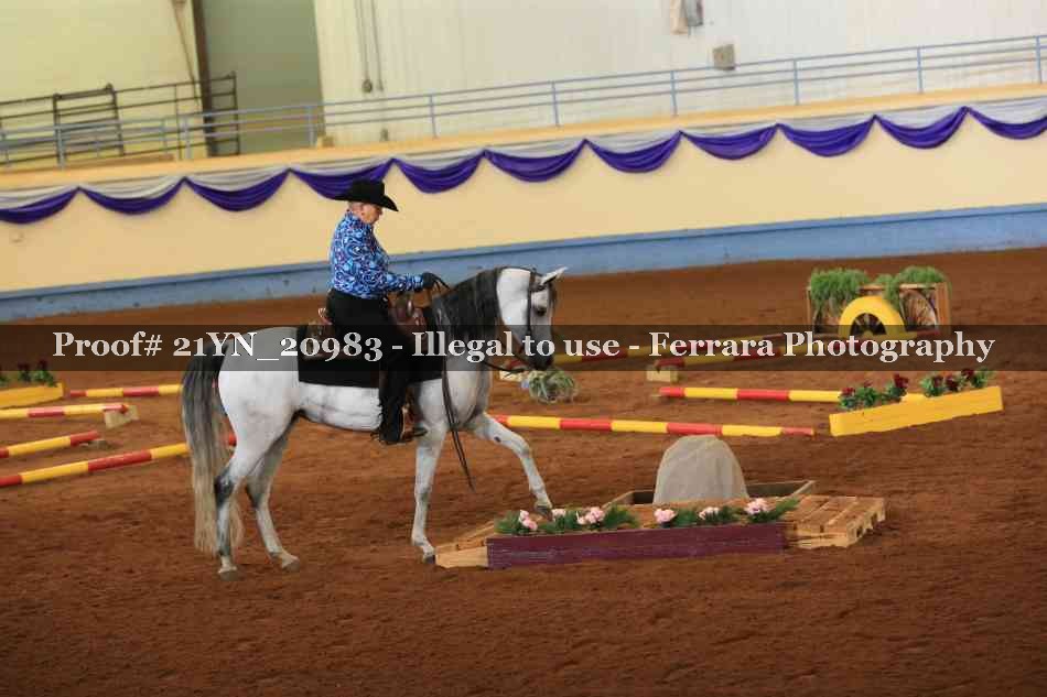 Proof 21YN_20983