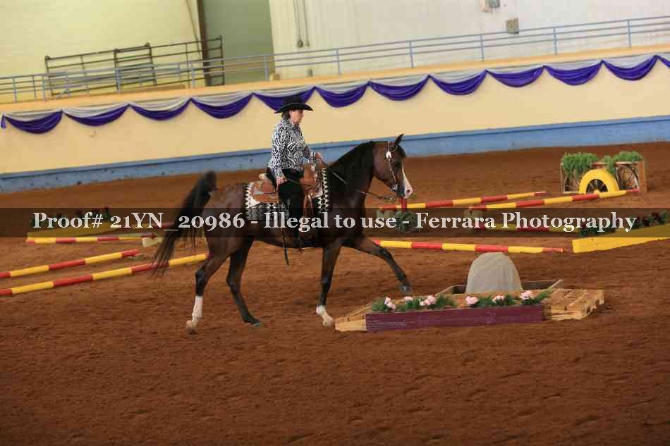 Proof 21YN_20986