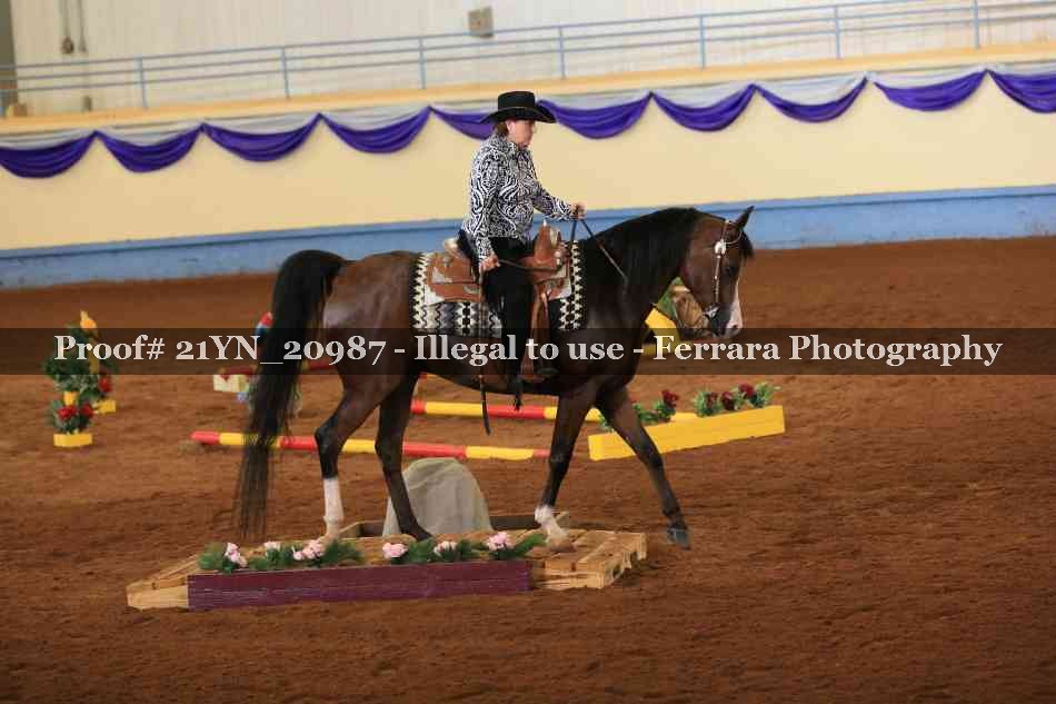 Proof 21YN_20987