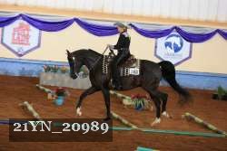 21YN_20989 proof