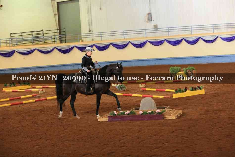 Proof 21YN_20990