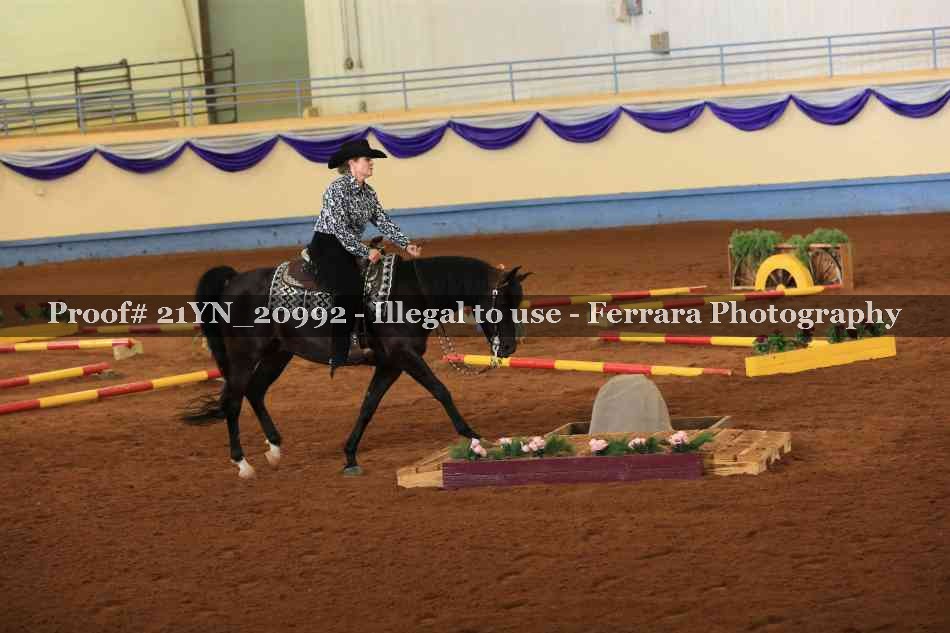 Proof 21YN_20992