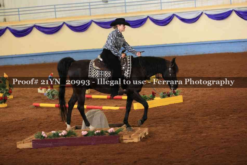Proof 21YN_20993